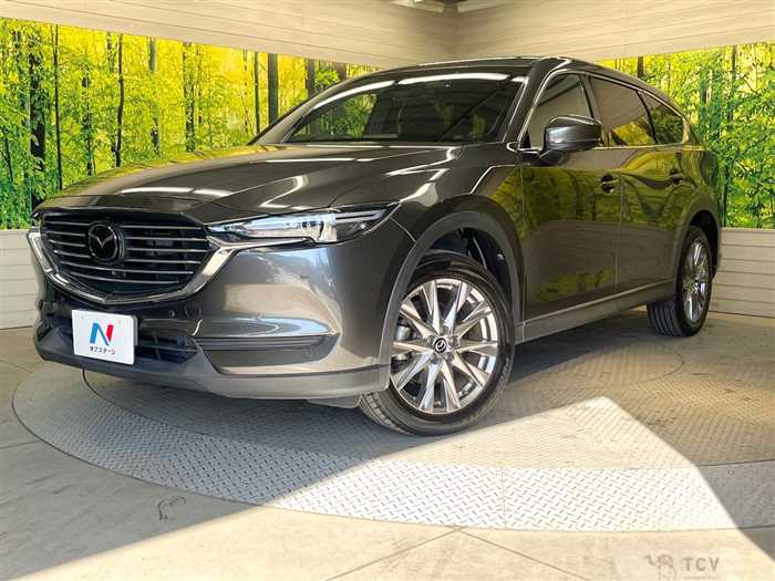 2019 Mazda CX-8