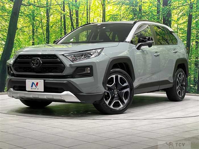 2019 Toyota RAV4