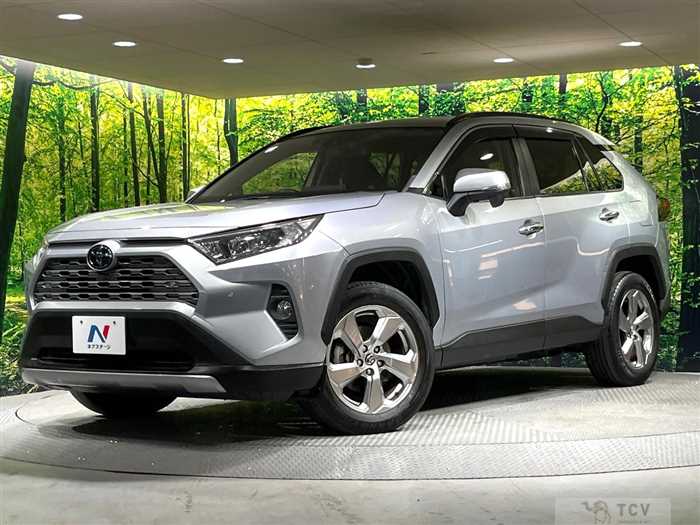 2019 Toyota RAV4