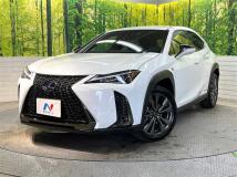 2021 Lexus Other