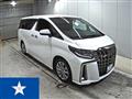 2022 Toyota Alphard G