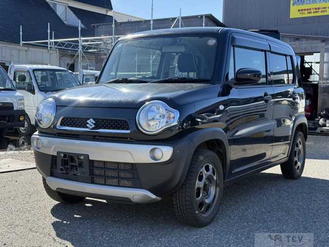 2019 Other All Other All