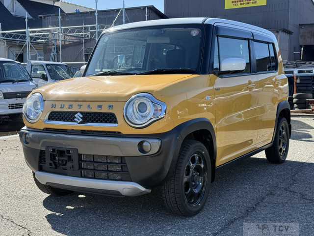 2017 Other All Other All