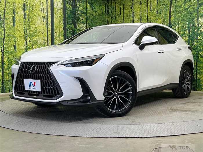 2023 Lexus NX