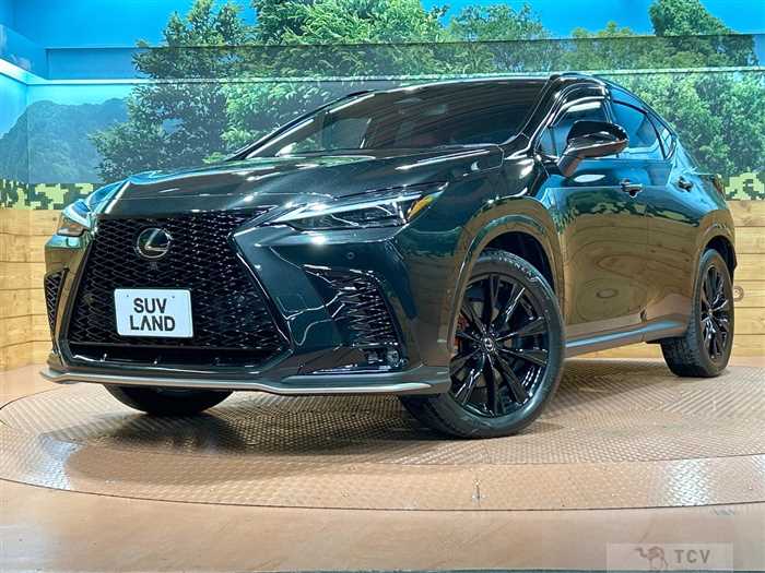 2023 Lexus NX