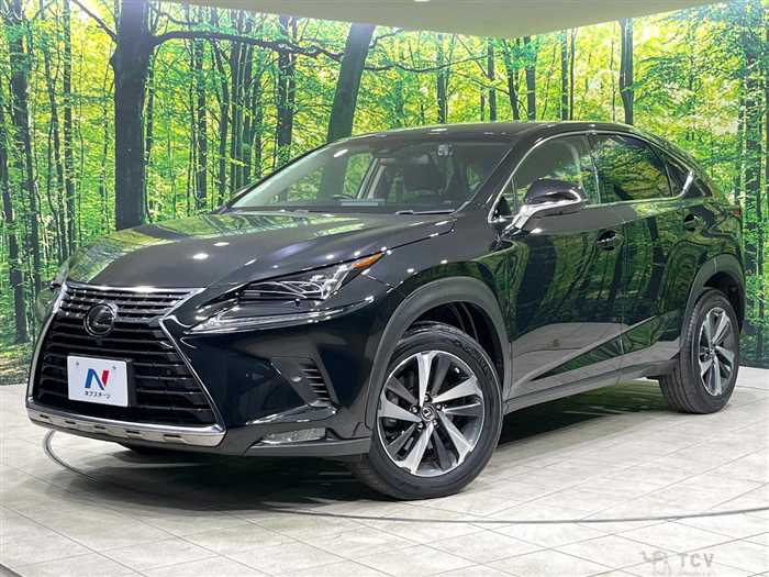 2018 Lexus NX