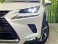 2020 Lexus NX