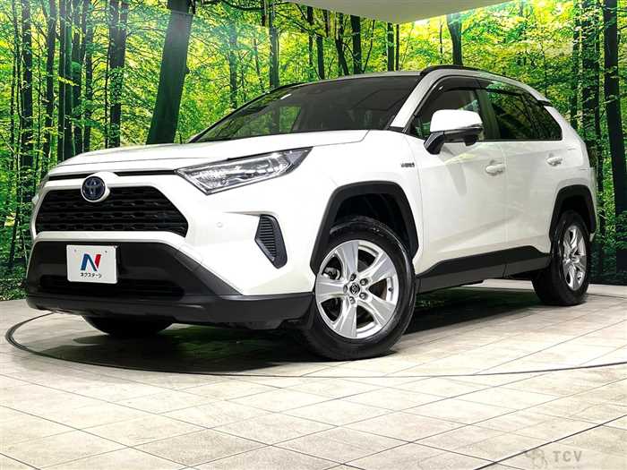 2019 Toyota RAV4