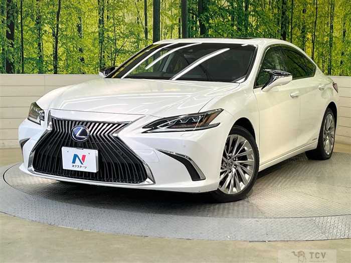2020 Lexus ES
