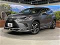 2019 Lexus NX