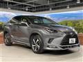 2019 Lexus NX