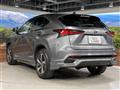 2019 Lexus NX
