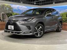 2019 Lexus NX