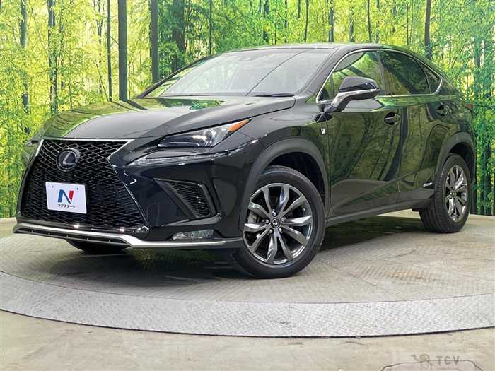 2018 Lexus NX