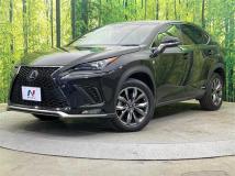 2018 Lexus NX