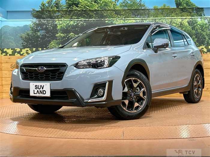 2019 Subaru Subaru Others