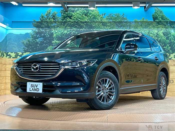 2019 Mazda CX-8