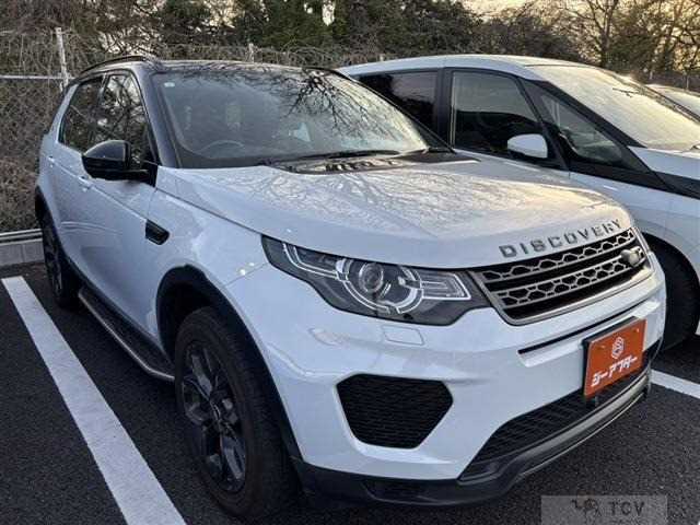 2019 Other All Other All