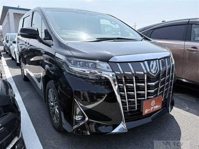 2019 Toyota Alphard G