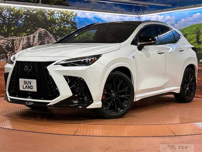 2023 Lexus NX
