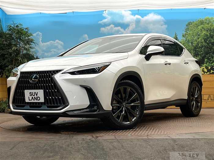 2023 Lexus NX