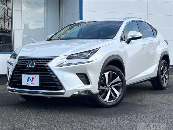 2018 Lexus NX