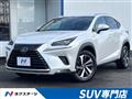 2018 Lexus NX
