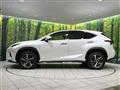 2018 Lexus NX