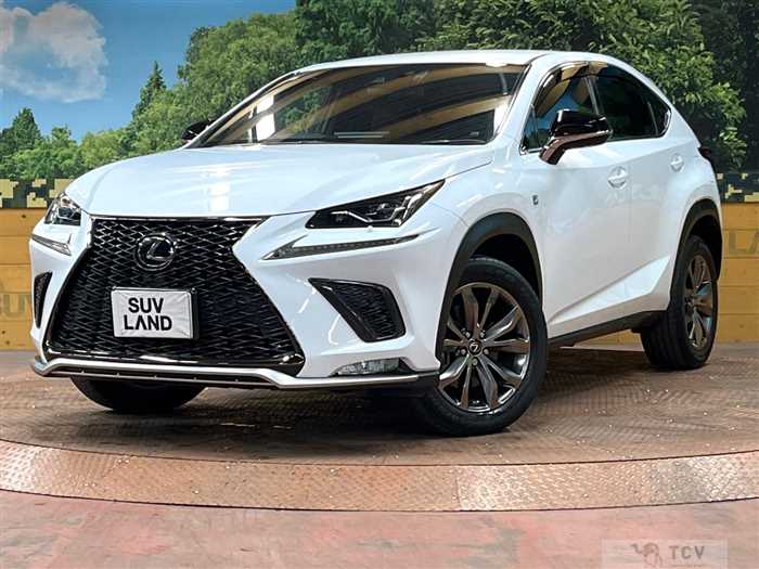 2019 Lexus NX
