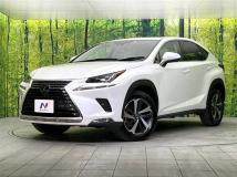 2020 Lexus NX