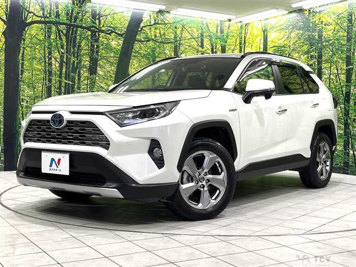 2019 Toyota RAV4