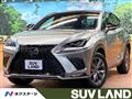 2020 Lexus NX