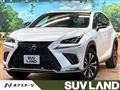 2021 Lexus NX