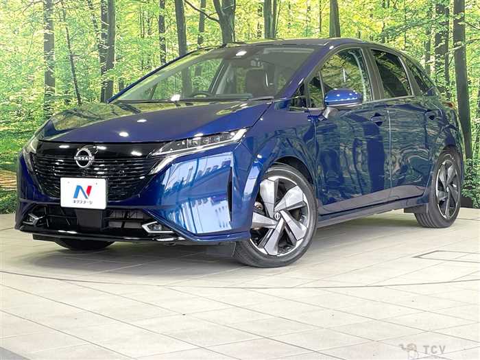 2021 Nissan Nissan Others