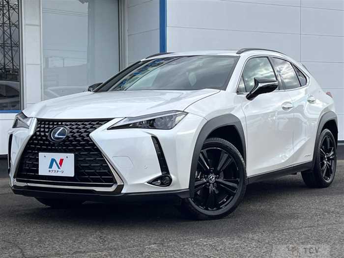 2021 Lexus Other