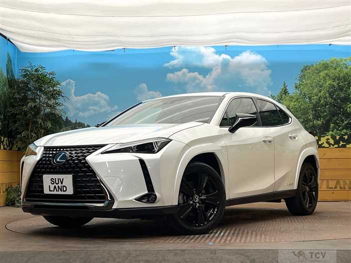 2022 Lexus Other