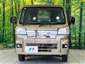 2022 Daihatsu Hijet Truck