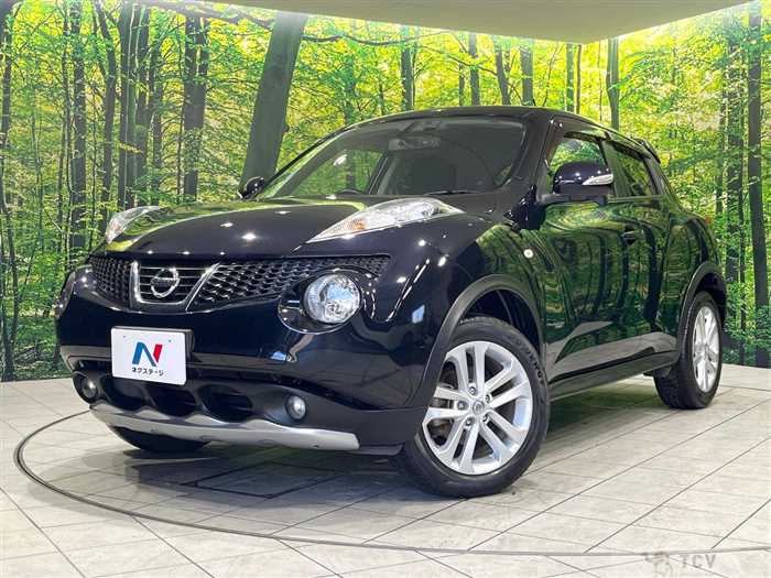 2011 Nissan Juke