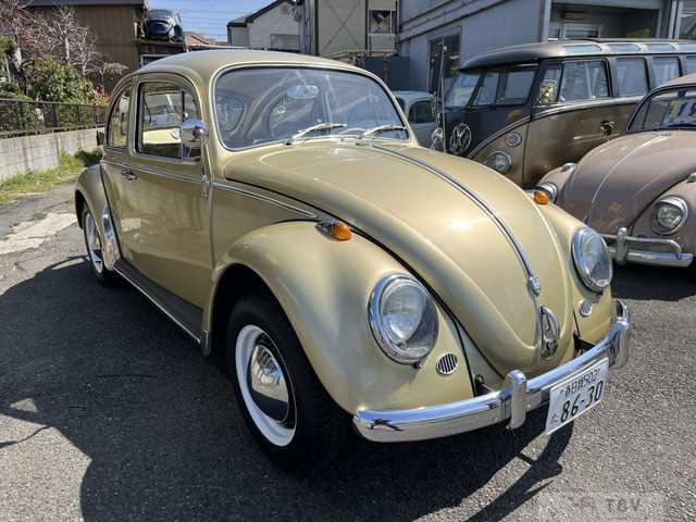 1967 Volkswagen Beetle