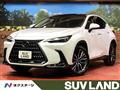 2022 Lexus NX
