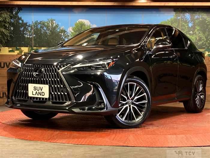 2022 Lexus NX
