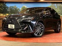 2022 Lexus NX