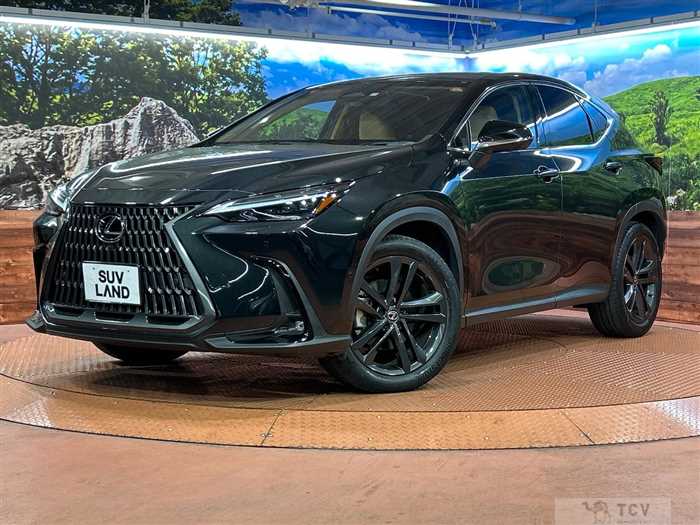 2023 Lexus NX