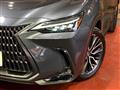 2023 Lexus NX