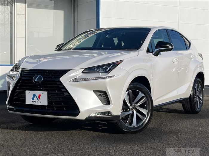 2018 Lexus NX