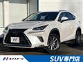 2019 Lexus NX