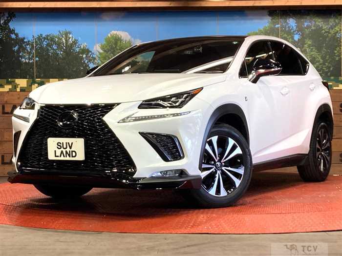 2019 Lexus NX