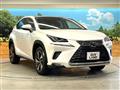 2019 Lexus NX