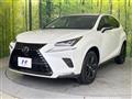 2018 Lexus NX
