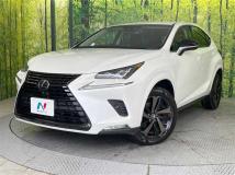 2018 Lexus NX